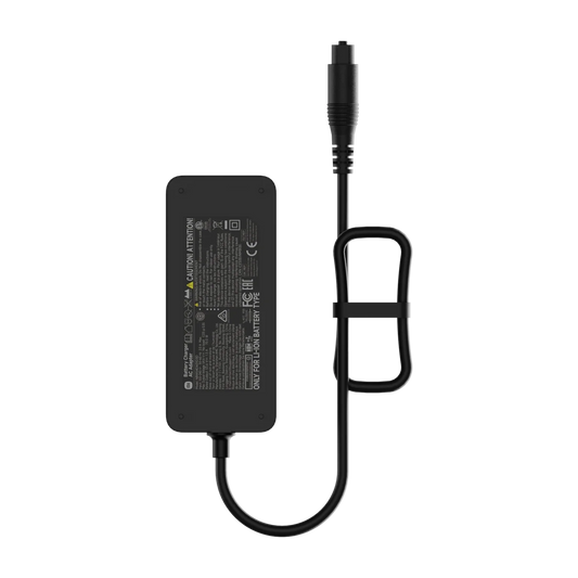 Xiaomi Electric Scooter Fast Charger 2