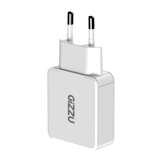 Gizzu 2-Port 45W GaN Wall Charger