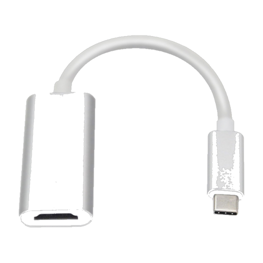 Gizzu 4K Type-C to HDMI Adapter Poly