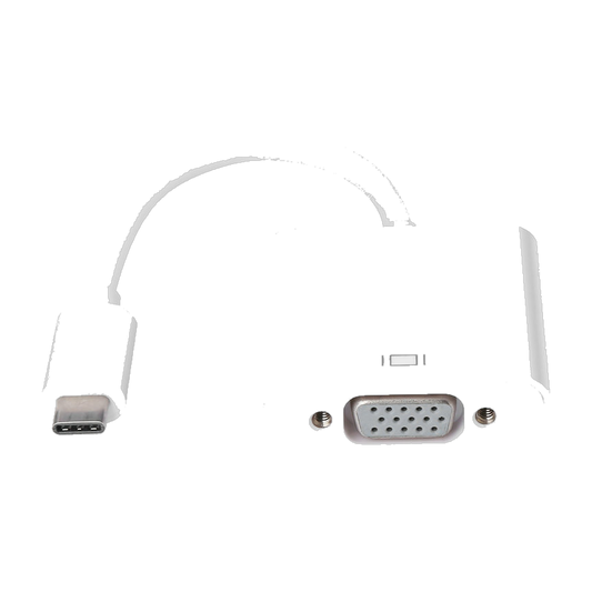 Gizzu 1080P Type-C to VGA Adapter Poly