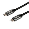 Gizzu Type-C 3.2 to Type-C 10Gbps 100W Cable 2M Poly