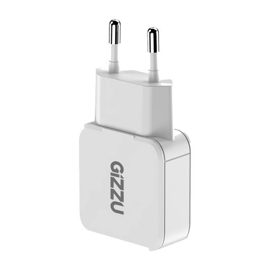 Gizzu 2-Port 20W GaN Wall Charger