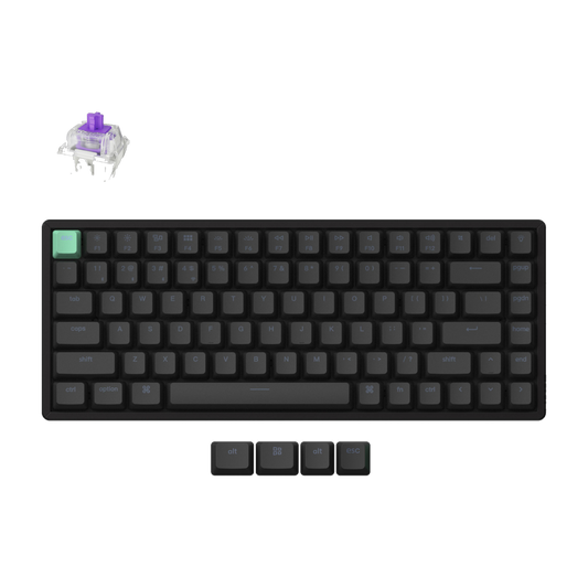Keychron K2 HE 75% Magnetic Switch Hot-Swap Gateron Dbl-Rail Nebula Switch RGB Wireless Keyboard - Black (Al)