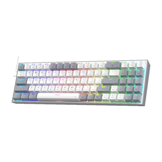 REDRAGON MECHANICAL Pollux Wired Gaming Keyboard